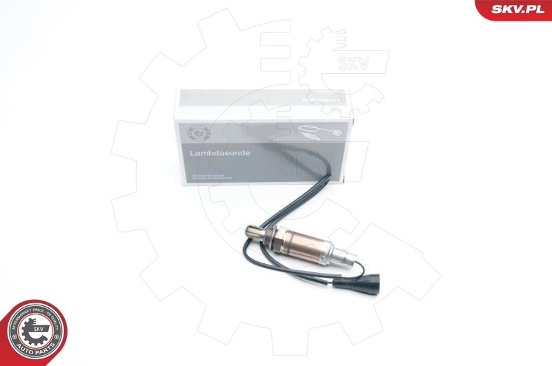 Oxygen Sensor